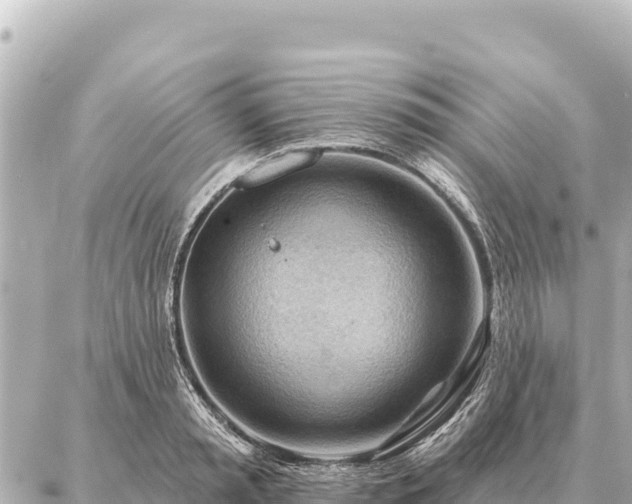 X0000086980797200704231818