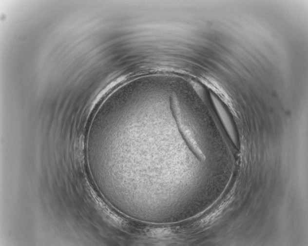 X0000086980798200704231818