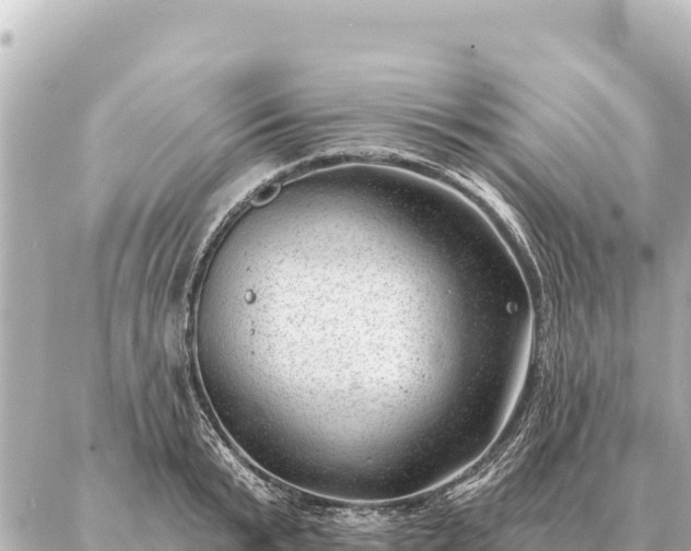 X0000086980799200704231818