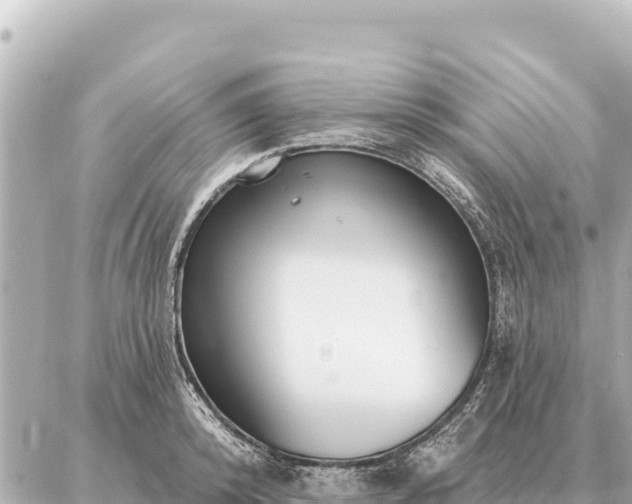 X0000086980800200704231818