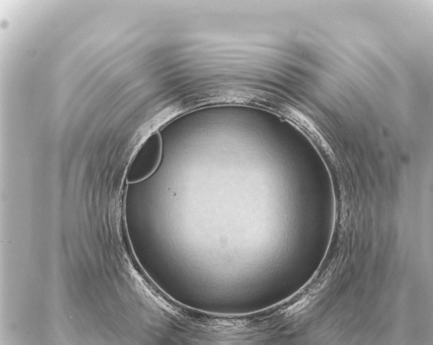 X0000086980802200704231818