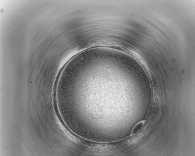 X0000086980803200704231818