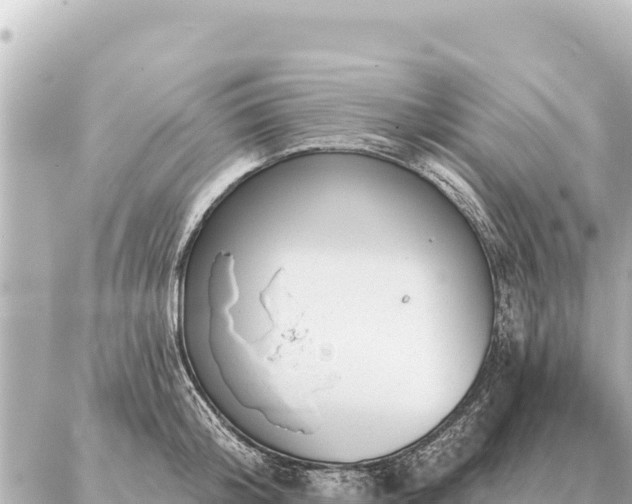 X0000086980804200704231818