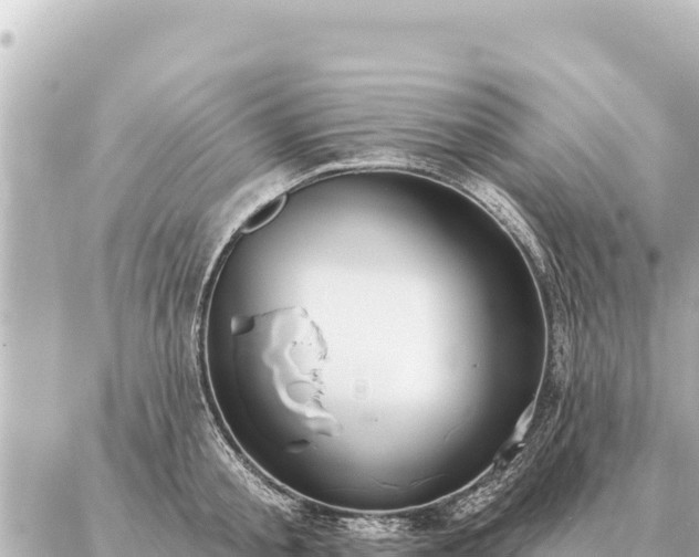 X0000086980805200704231818