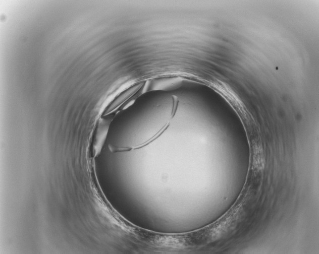 X0000086980806200704231818