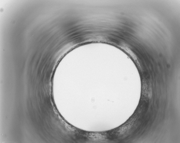 X0000086980807200704231818