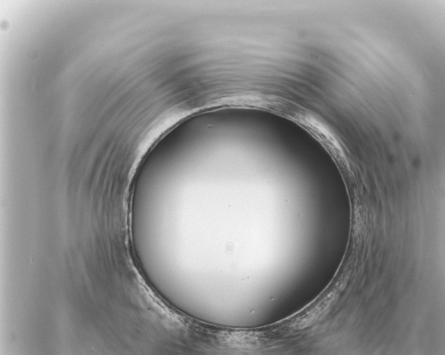 X0000086980808200704231818