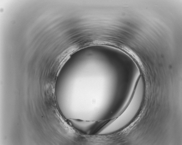 X0000086980809200704231818