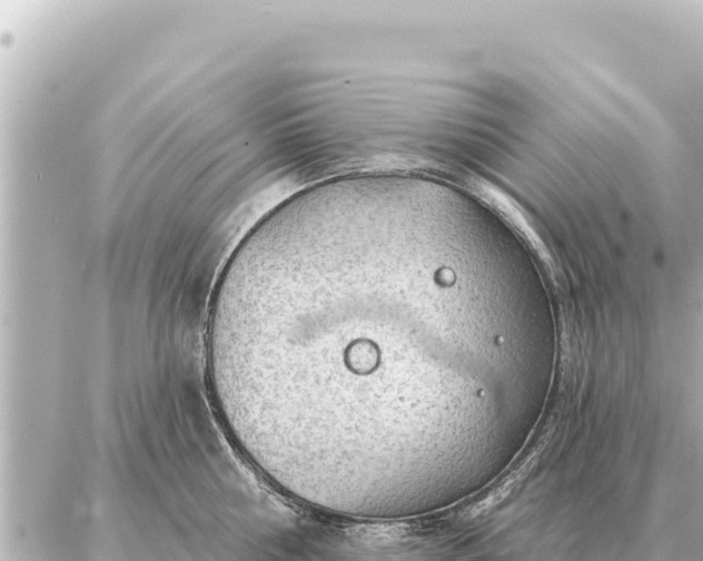 X0000086980810200704231818