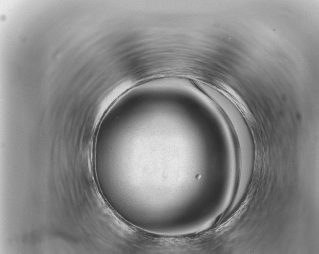 X0000086980812200704231818