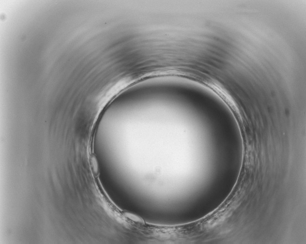 X0000086980813200704231818