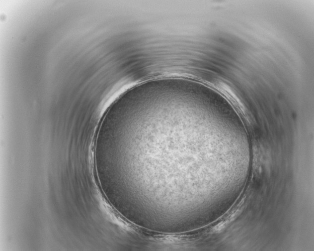 X0000086980814200704231818