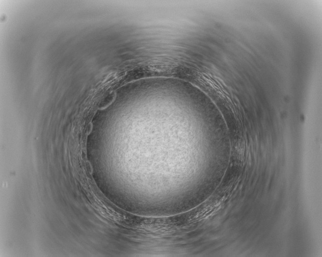 X0000086980817200704231817