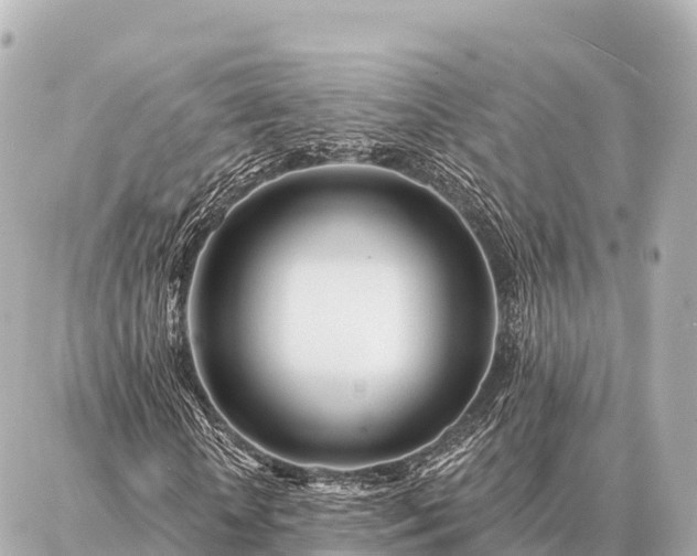 X0000086980818200704231817