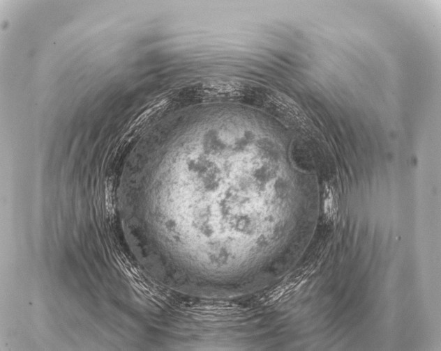 X0000086980819200704231817