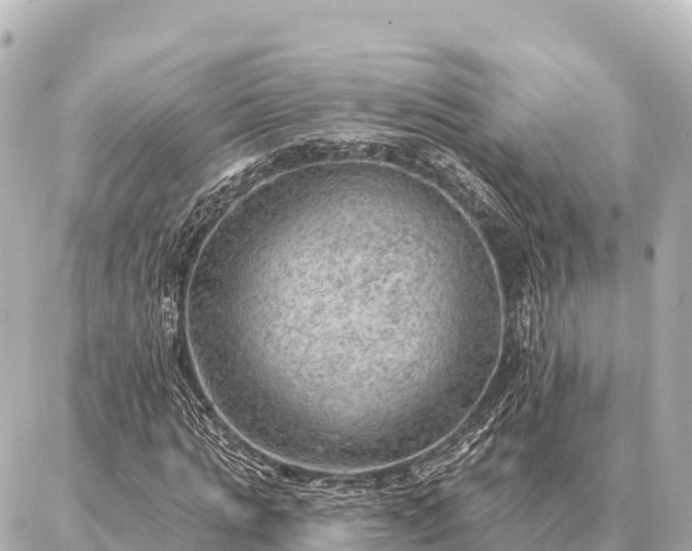 X0000086980821200704231817