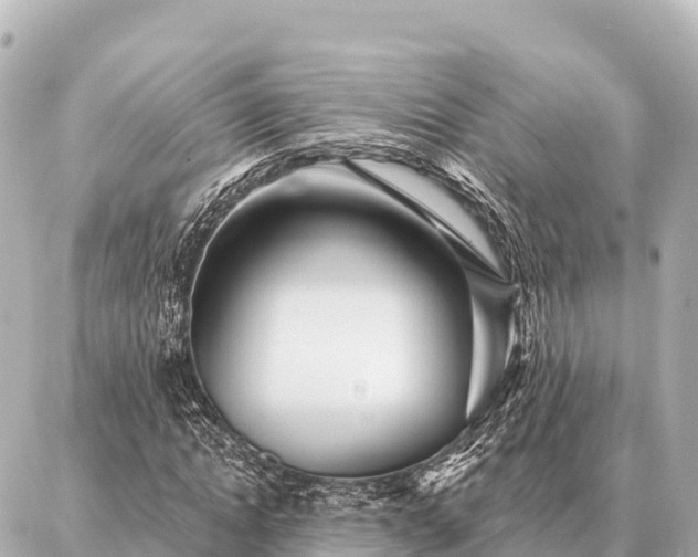 X0000086980822200704231817