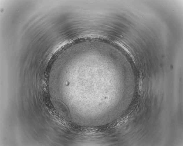 X0000086980823200704231817