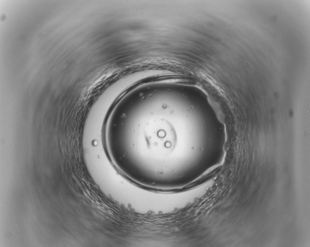 X0000086980824200704231817