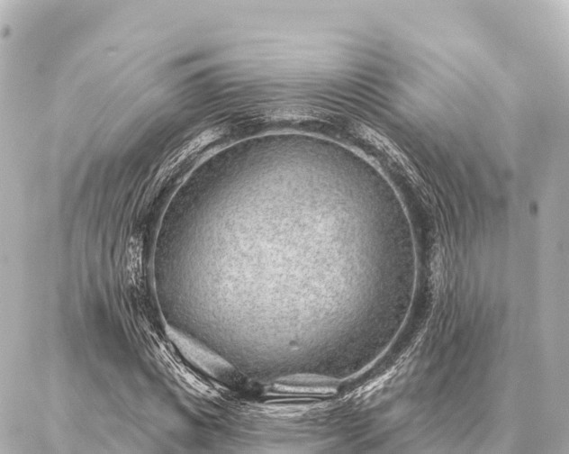 X0000086980825200704231817