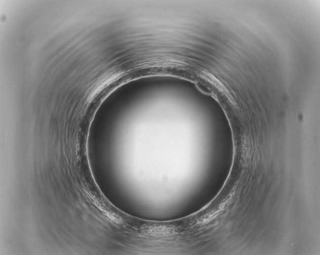 X0000086980826200704231817