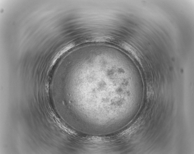 X0000086980827200704231817