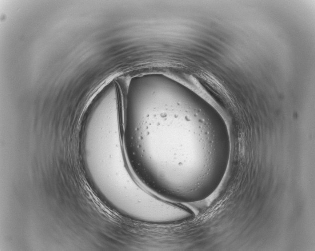 X0000086980828200704231817