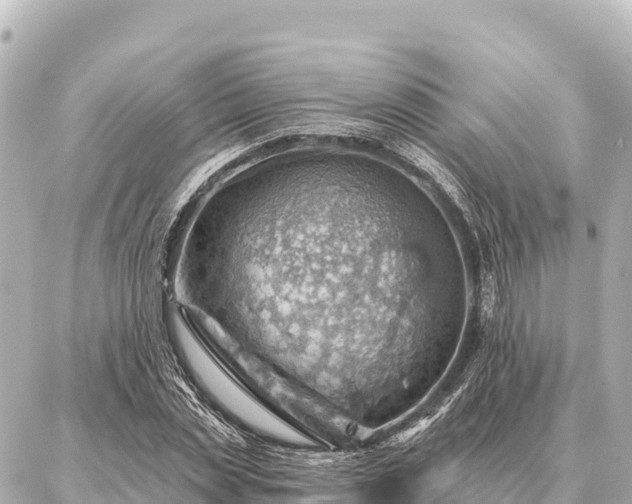 X0000086980829200704231817