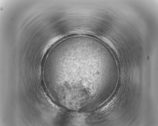 X0000086980831200704231817