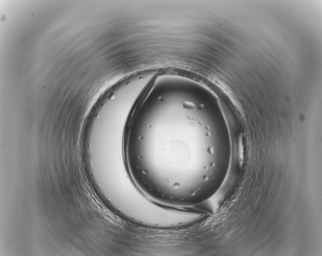 X0000086980832200704231817