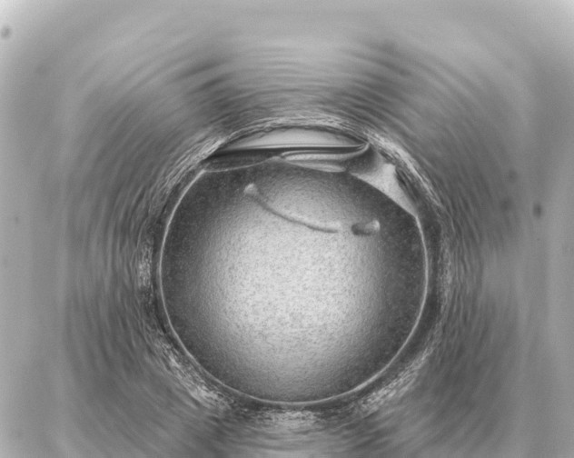 X0000086980833200704231817