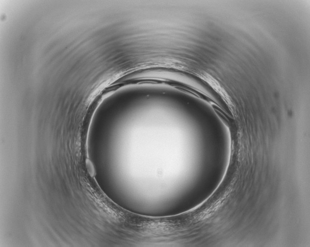 X0000086980834200704231817