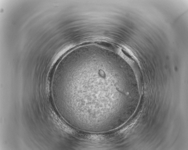 X0000086980835200704231817