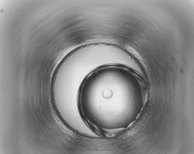 X0000086980836200704231817