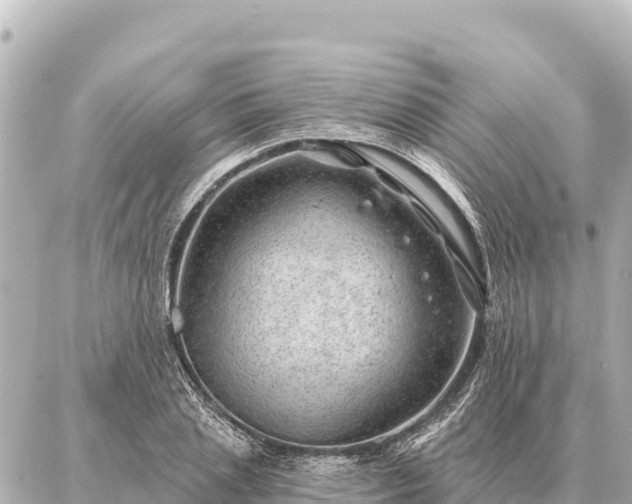 X0000086980837200704231817