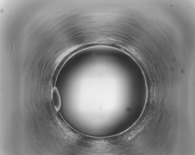 X0000086980838200704231817