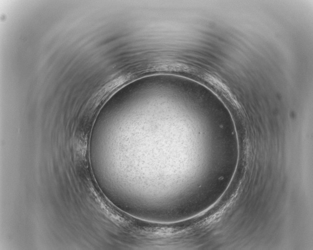 X0000086980841200704231817