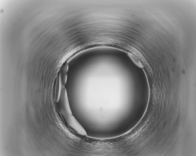 X0000086980842200704231817