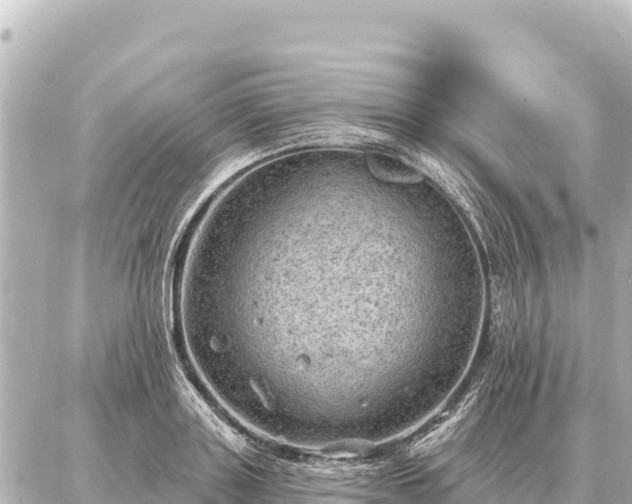 X0000086980843200704231817