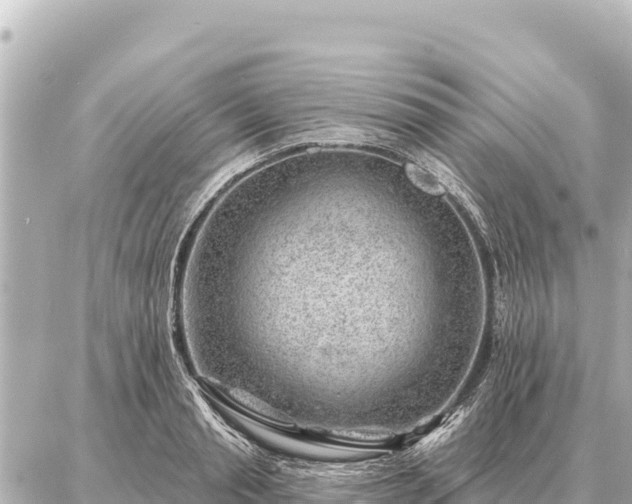 X0000086980845200704231817