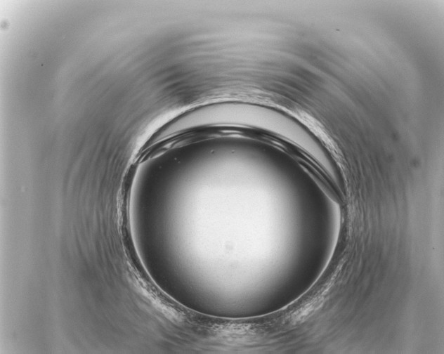 X0000086980846200704231817