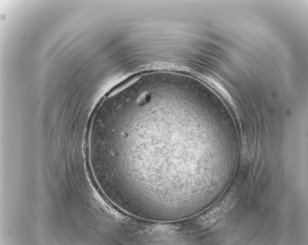 X0000086980847200704231817