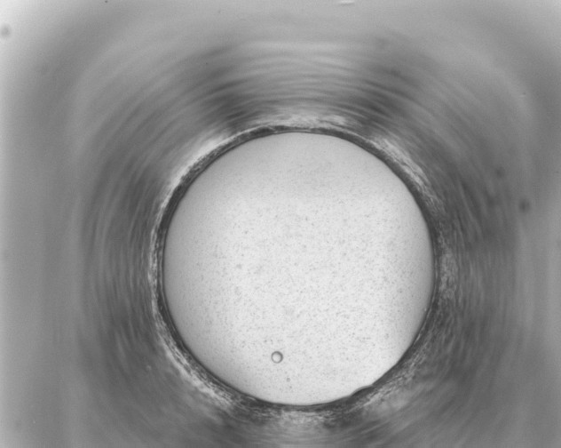 X0000086980848200704231817