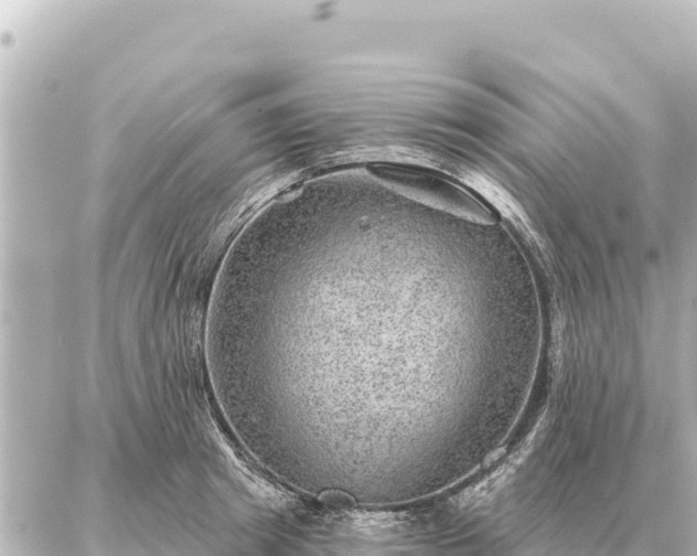 X0000086980849200704231817