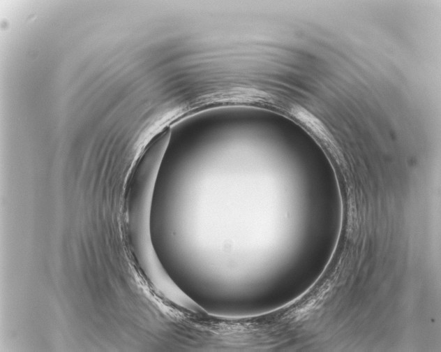 X0000086980850200704231817