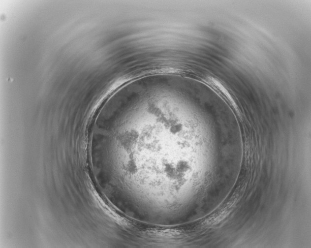 X0000086980851200704231817