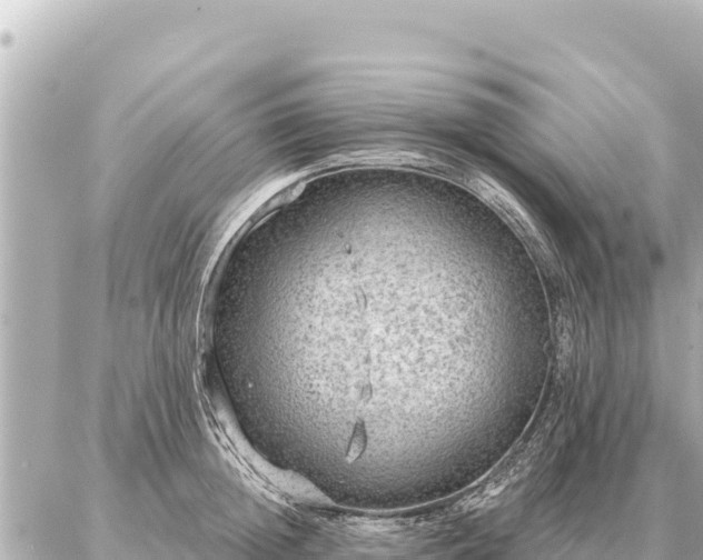 X0000086980852200704231817