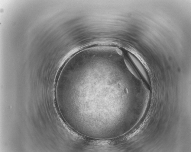 X0000086980853200704231817