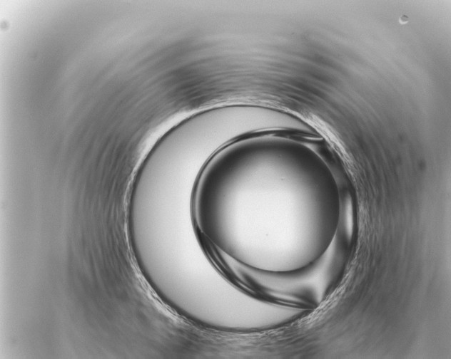 X0000086980854200704231817