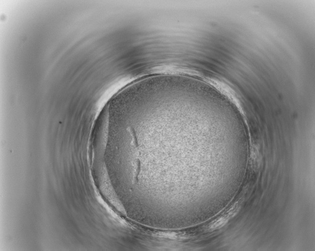 X0000086980855200704231817